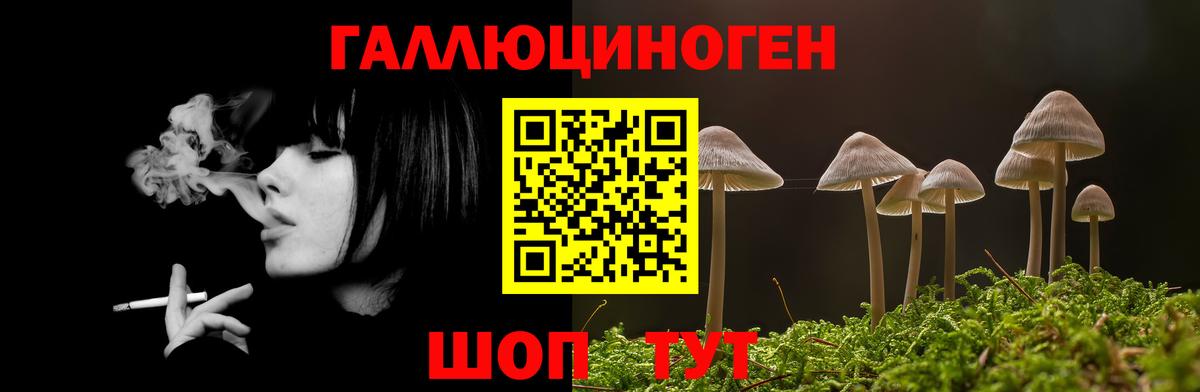 Абинск  Псилоцибиновые грибы мухоморы  Вход с VPN  Псилоцибиновые грибы ЛСД 